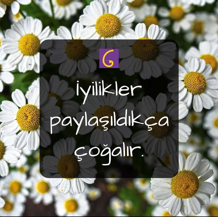 c4b0yilikler_paylac59fc4b1ldc4b1kc3a7a_c387oc49falc4b1r-1