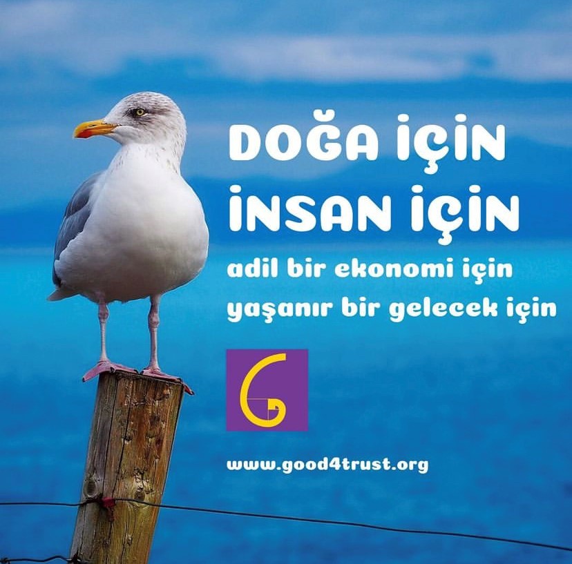 doc49fa_ic3a7in_c4b0nsan_ic3a7in_good4trust-1