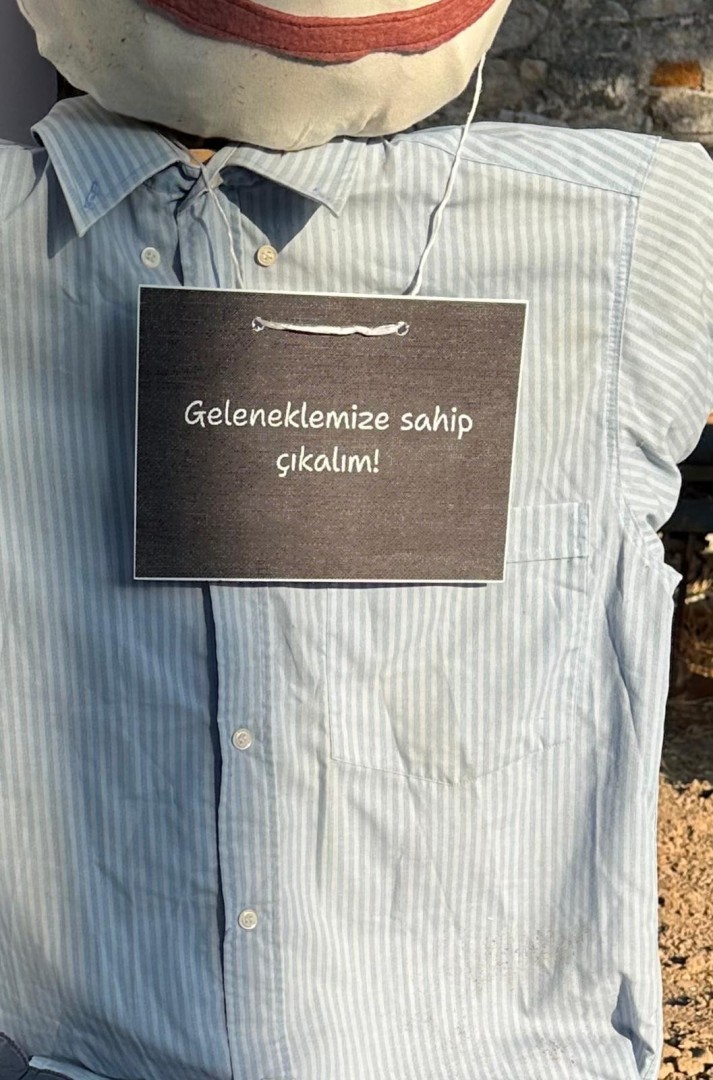 mesaj_6-1