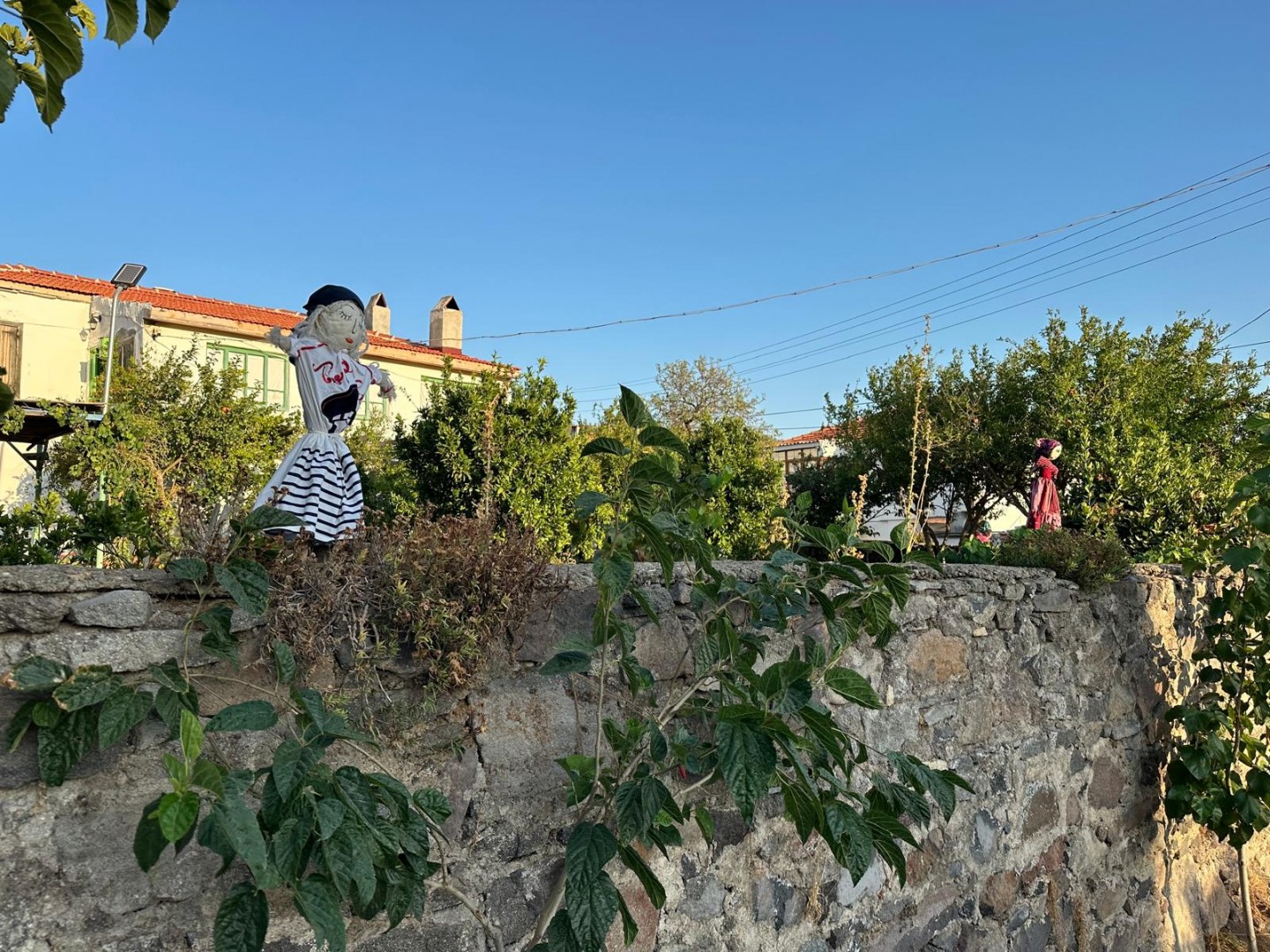 oyuk_10-1