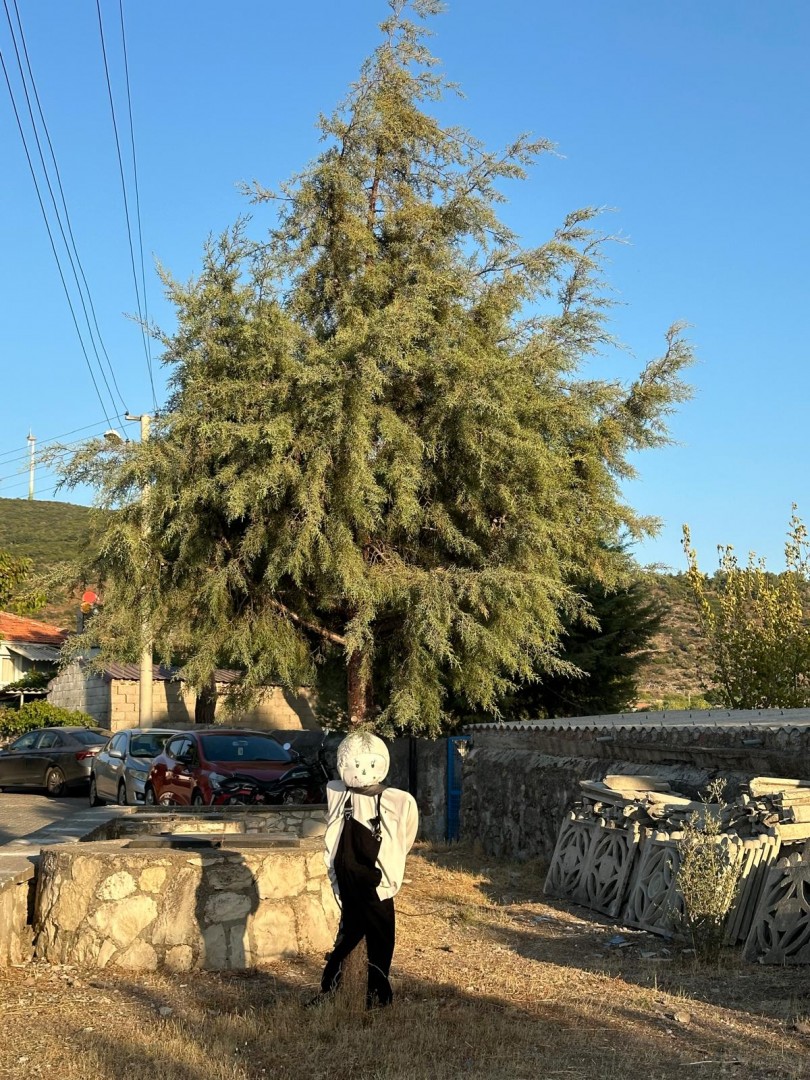 oyuk_17-1