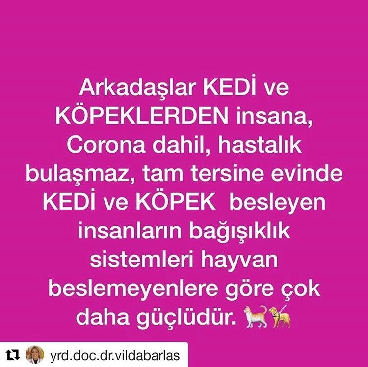 hayvanlar