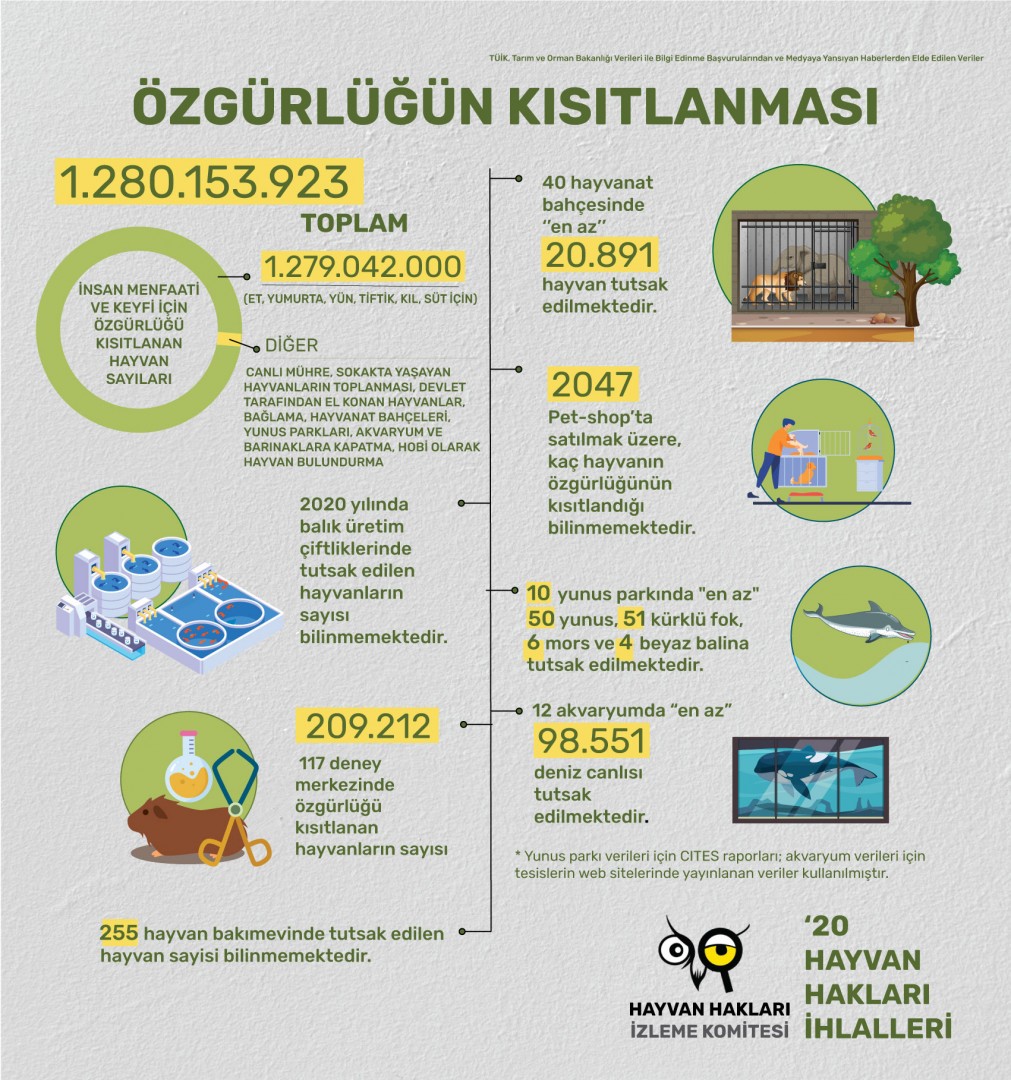 resim_2-2-1