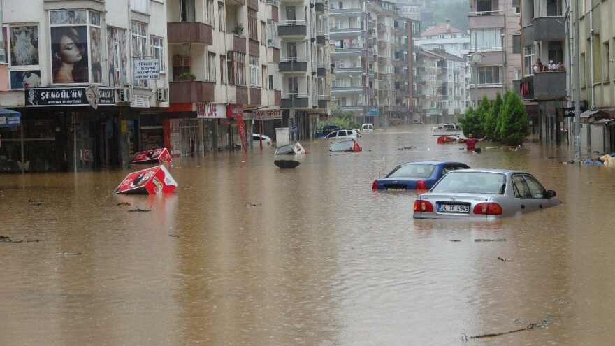 rize_sel